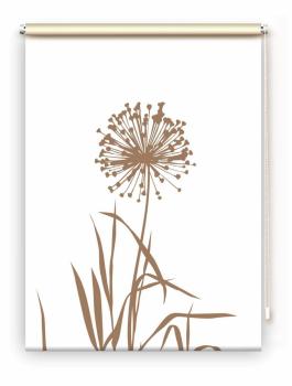 Rollo Allium 24 blanco Cappuccino, Rollo, Motivrollo, Rollo mit Druck, Fotorollo, bedrucktes Rollo, Fensterrollo,verdunkelndes Rollo, Sonnenschutz Rollo